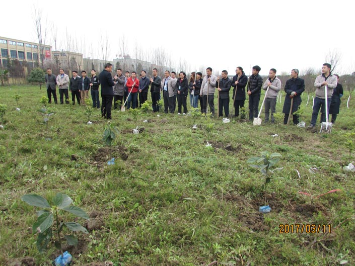 mg不朽情缘(中国游)官方网站