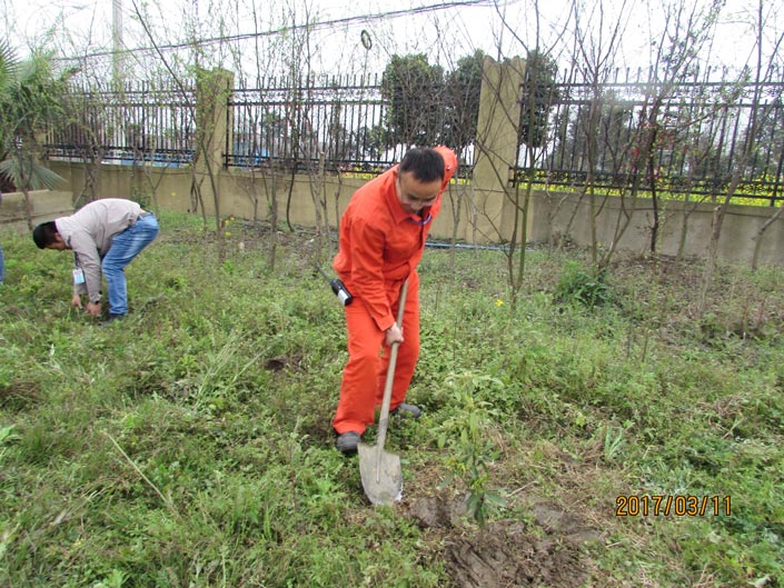 mg不朽情缘(中国游)官方网站