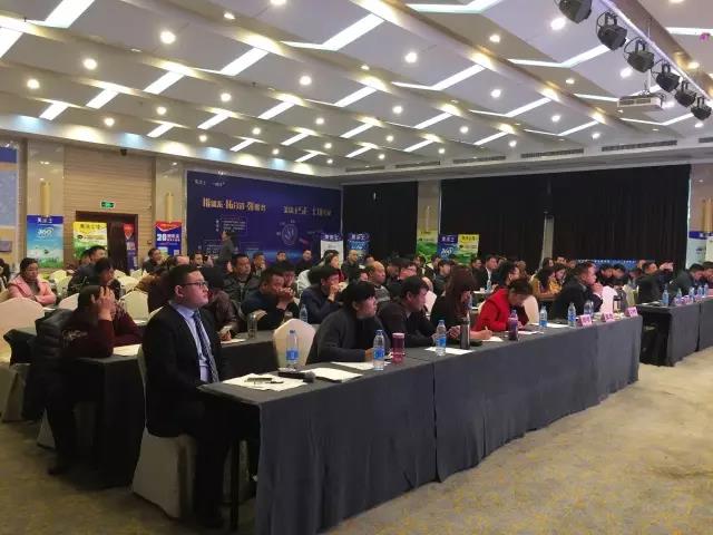 mg不朽情缘(中国游)官方网站