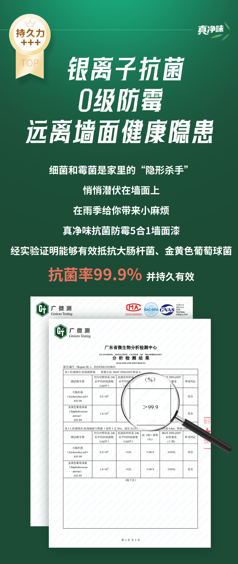 mg不朽情缘(中国游)官方网站